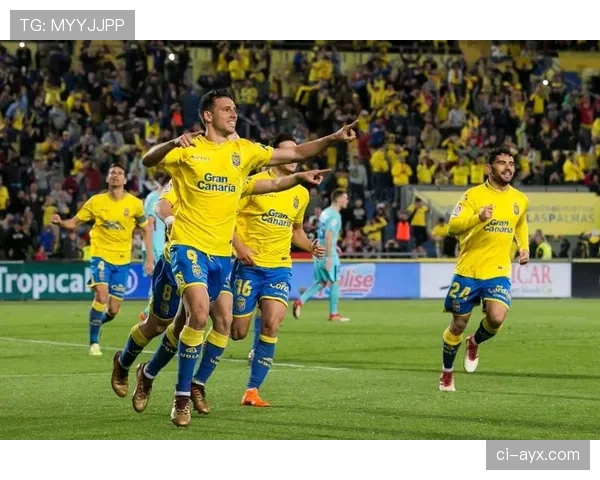 荷甲金靴争夺战愈演愈烈,锋线群星状态火热引关注 荷甲金靴争夺战愈演愈烈,锋线群星状态火热引关注