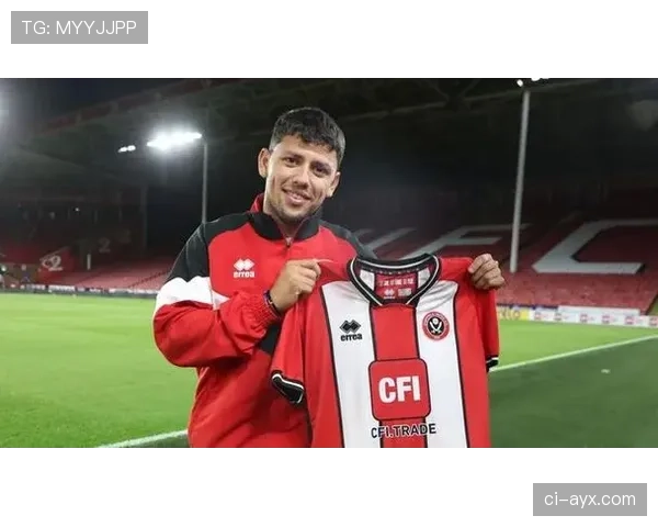 英超新星古斯塔沃·哈默展现精彩状态，助球队赢得关键胜利