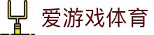 爱游戏官方网站AYX - 全场景体育电竞真人覆盖